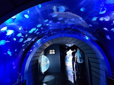 サンシャイン水族館に投稿された画像（2022/9/11）