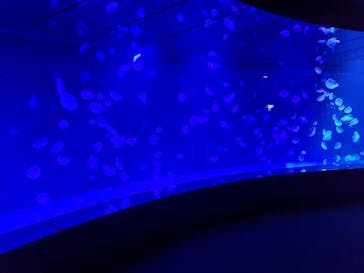 サンシャイン水族館に投稿された画像（2022/9/11）