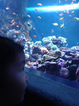 サンシャイン水族館に投稿された画像（2022/9/11）