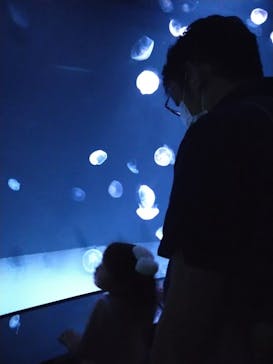 サンシャイン水族館に投稿された画像（2022/9/11）