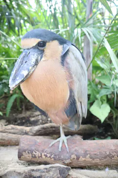 神戸どうぶつ王国に投稿された画像（2022/9/11）