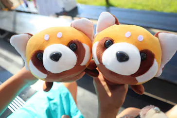 神戸どうぶつ王国に投稿された画像（2022/9/11）