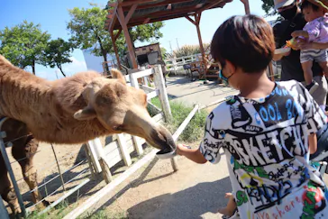 神戸どうぶつ王国に投稿された画像（2022/9/11）
