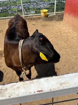 ワールド牧場に投稿された画像（2022/9/11）