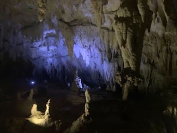 おきなわワールドに投稿された画像（2022/9/11）