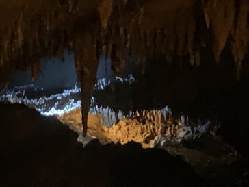 おきなわワールドに投稿された画像（2022/9/11）