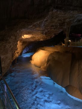 おきなわワールドに投稿された画像（2022/9/11）