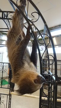 アニタッチみなとみらいに投稿された画像（2022/9/11）