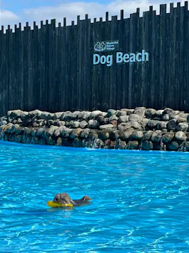 わんダフルネイチャーヴィレッジに投稿された画像（2022/9/12）