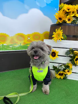 わんダフルネイチャーヴィレッジに投稿された画像（2022/9/12）