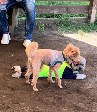 わんダフルネイチャーヴィレッジに投稿された画像（2022/9/12）