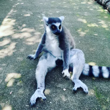 神戸どうぶつ王国に投稿された画像（2022/9/12）