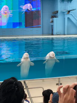 横浜・八景島シーパラダイスに投稿された画像（2022/9/12）