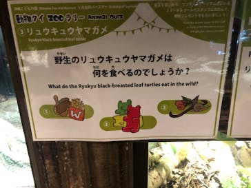 沖縄こどもの国に投稿された画像（2022/9/12）