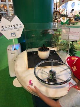 沖縄こどもの国に投稿された画像（2022/9/12）