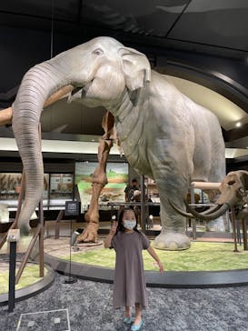 滋賀県立琵琶湖博物館に投稿された画像（2022/9/12）