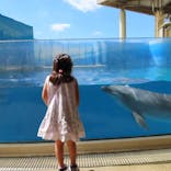 新江ノ島水族館に投稿された画像（2022/9/12）