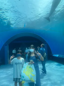 横浜・八景島シーパラダイスに投稿された画像（2022/9/12）