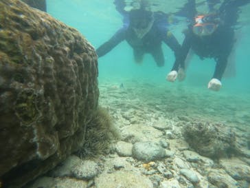 沖縄マリンサービス碧に投稿された画像（2022/9/12）