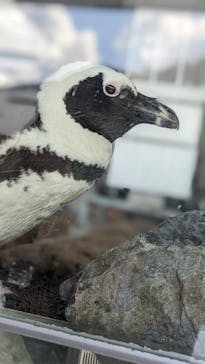 京都水族館に投稿された画像（2022/9/12）