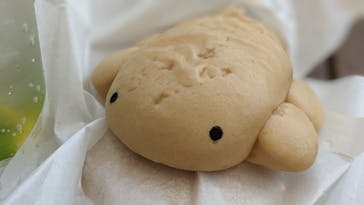 京都水族館に投稿された画像（2022/9/12）