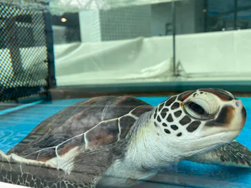 名古屋港水族館に投稿された画像（2022/9/12）