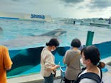 鴨川シーワールドに投稿された画像（2022/9/12）