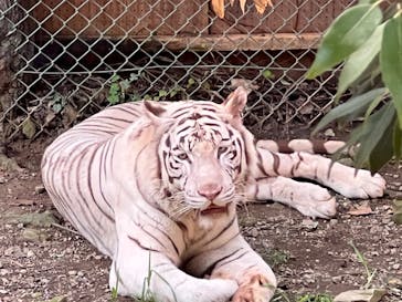 群馬サファリパークに投稿された画像（2022/9/12）