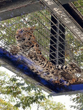 群馬サファリパークに投稿された画像（2022/9/12）