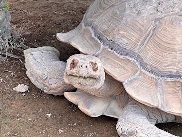 群馬サファリパークに投稿された画像（2022/9/12）