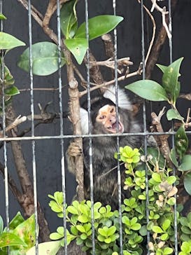 群馬サファリパークに投稿された画像（2022/9/12）