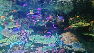 サンシャイン水族館に投稿された画像（2022/9/12）