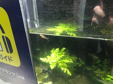 サンシャイン水族館に投稿された画像（2022/9/12）