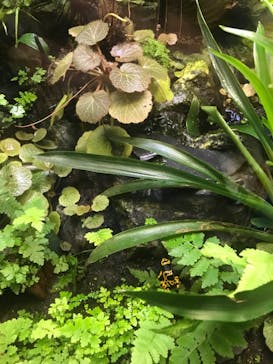 サンシャイン水族館に投稿された画像（2022/9/12）