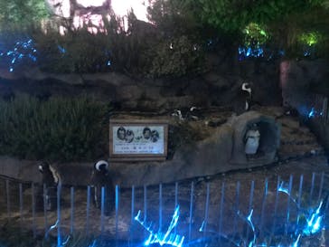 サンシャイン水族館に投稿された画像（2022/9/12）