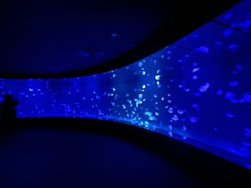 サンシャイン水族館に投稿された画像（2022/9/12）