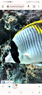 サンシャイン水族館に投稿された画像（2022/9/12）