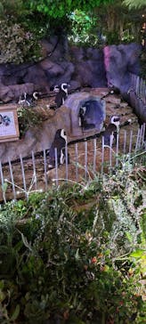 サンシャイン水族館に投稿された画像（2022/9/12）