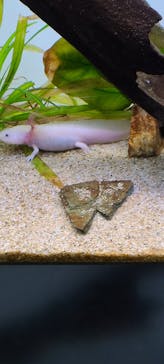 サンシャイン水族館に投稿された画像（2022/9/12）