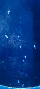 サンシャイン水族館に投稿された画像（2022/9/12）