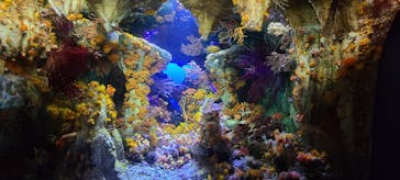 サンシャイン水族館に投稿された画像（2022/9/12）