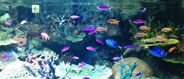 サンシャイン水族館に投稿された画像（2022/9/12）