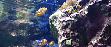 サンシャイン水族館に投稿された画像（2022/9/12）