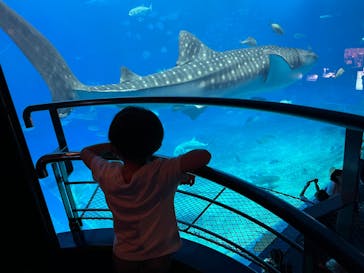沖縄美ら海水族館に投稿された画像（2022/9/12）