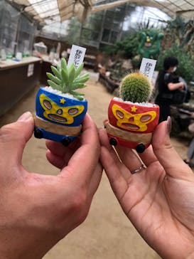 伊豆シャボテン動物公園に投稿された画像（2022/9/13）