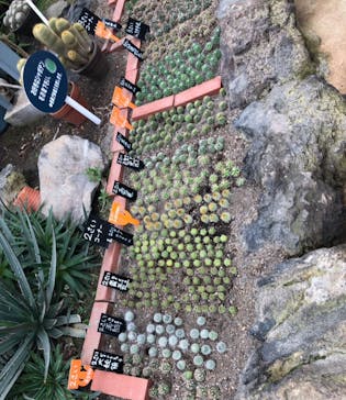 伊豆シャボテン動物公園に投稿された画像（2022/9/13）