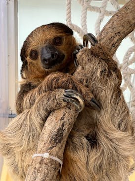 大分マリーンパレス水族館 「うみたまご」に投稿された画像（2022/9/13）
