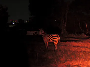 天王寺動物園に投稿された画像（2022/9/13）