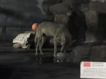 天王寺動物園に投稿された画像（2022/9/13）