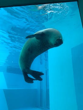 マリンワールド海の中道に投稿された画像（2022/9/13）